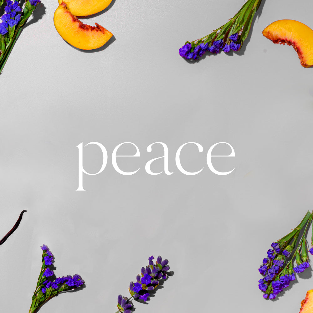 Reed Diffuser & Refill Bundle | Peace Doctor Aromas