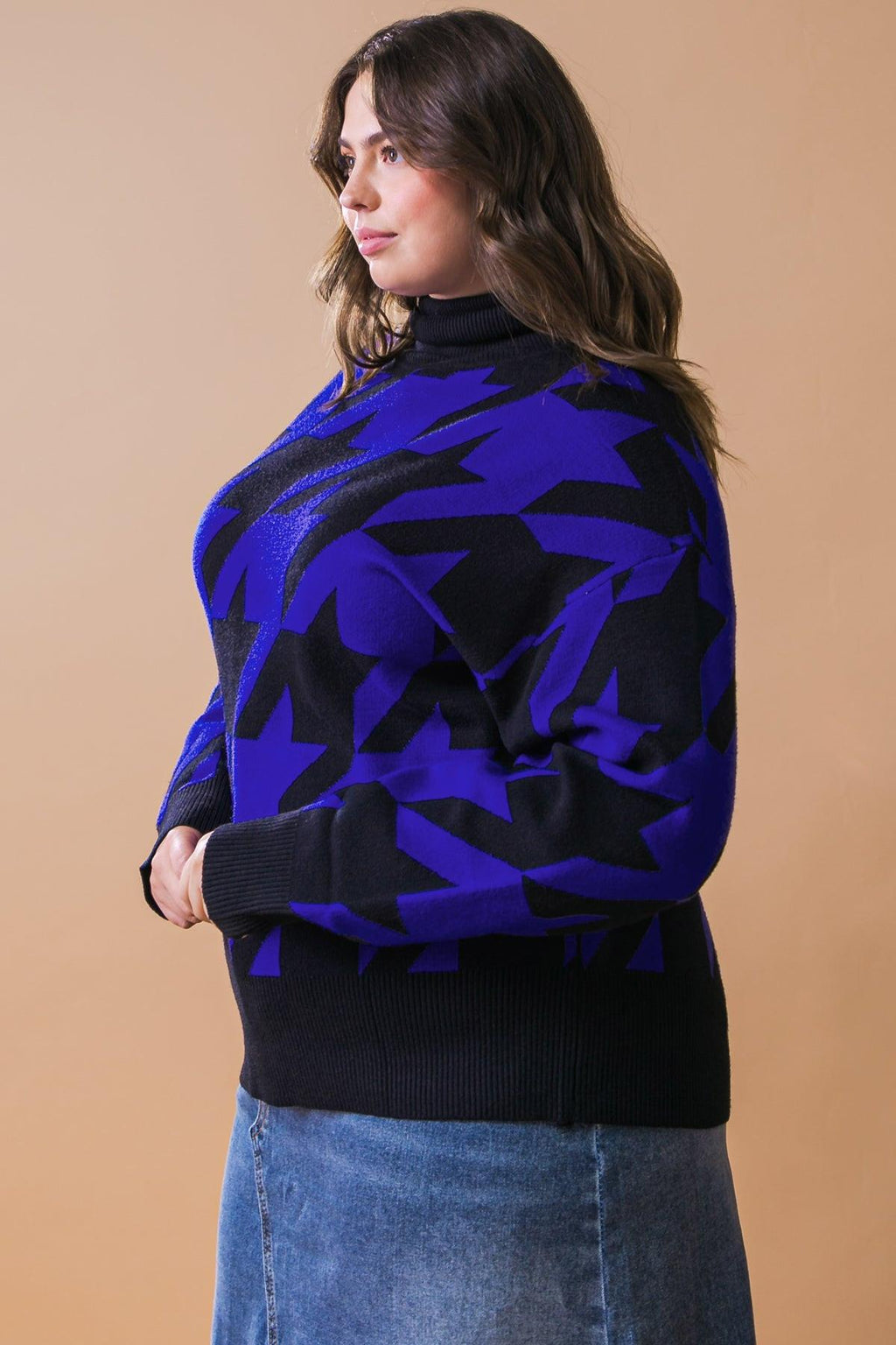 SPECIAL PLANS SWEATER Flying Tomato