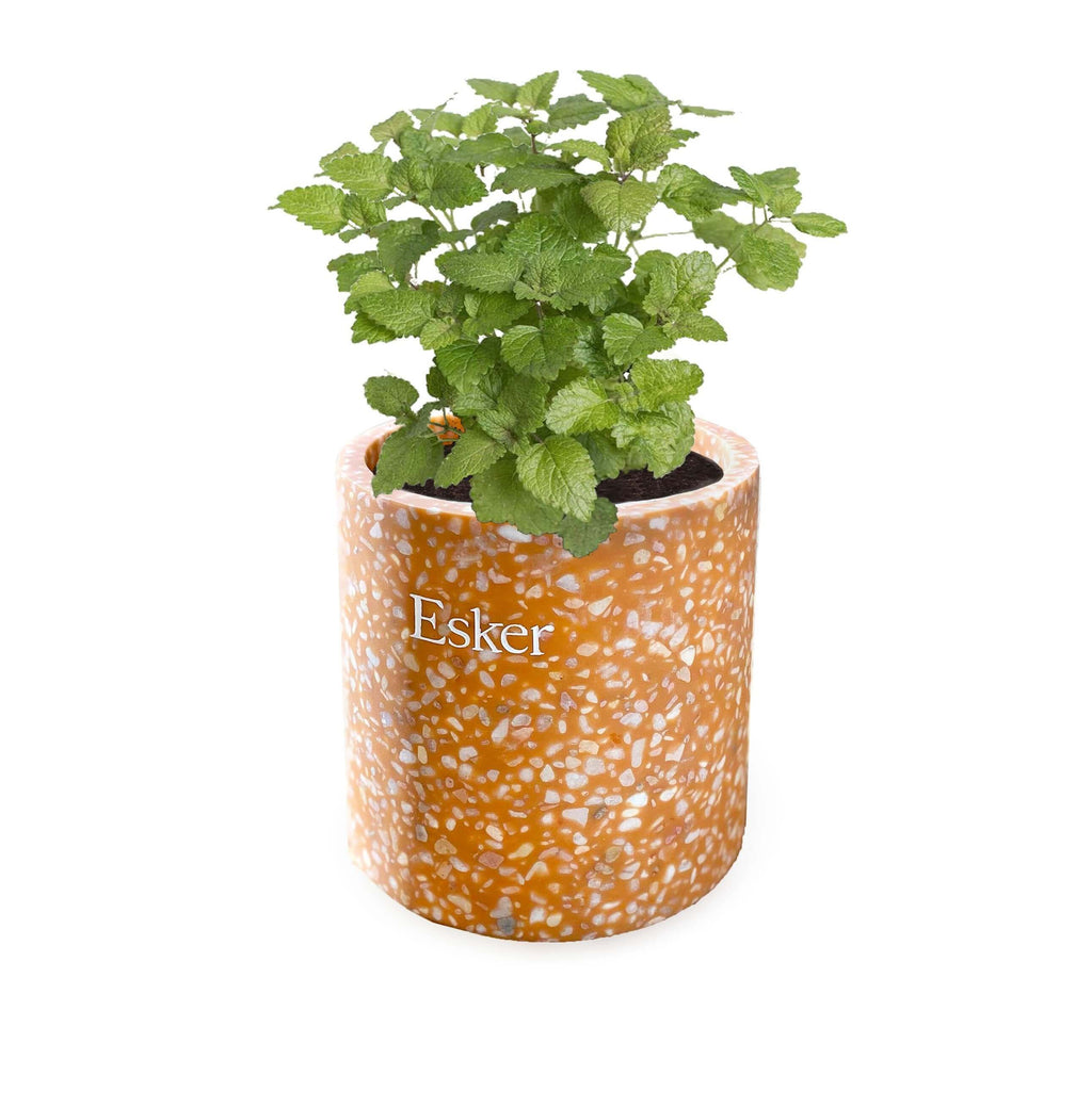 Terracotta Plantable Candle Esker