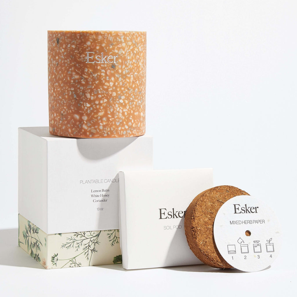 Terracotta Plantable Candle Esker