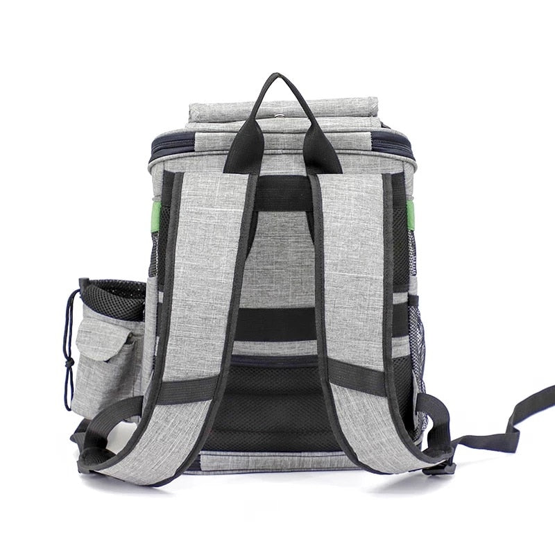 Collapsible Pet Backpack