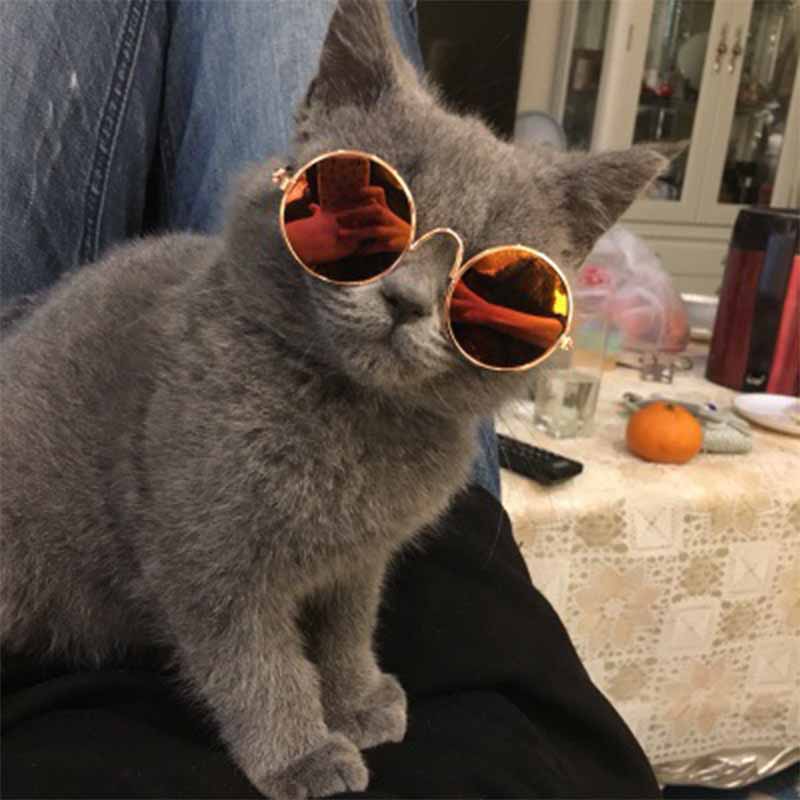 Vintage Small Round Pet Sunglasses