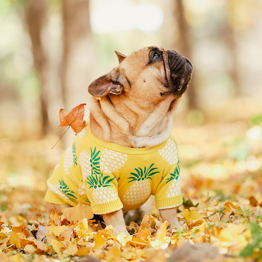 Yellow Pineapple Dog Sweater, Luxurious Warm Clothing for French Bulldogs (A2845) LUXLIFE BRANDS