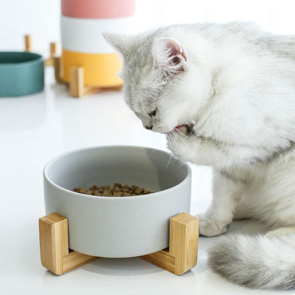 Ceramic Hand Crafted Pet Food Bowl