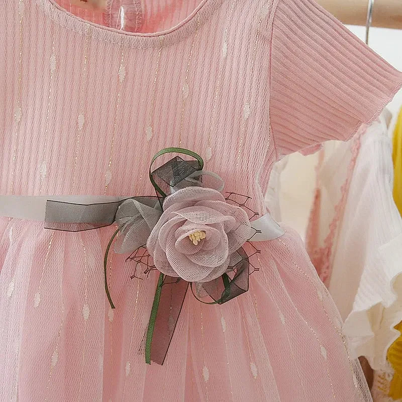 Newborn Baby Girl Dress