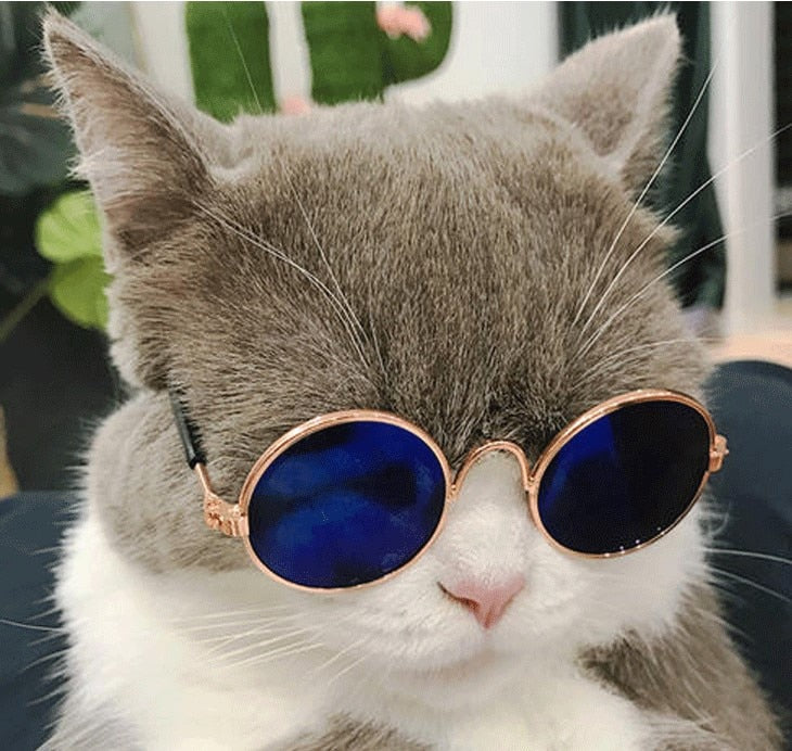 Vintage Small Round Pet Sunglasses