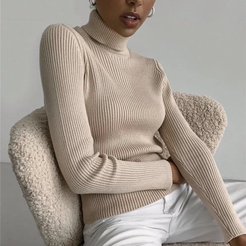 Soft Ribbed Turtleneck Sweater